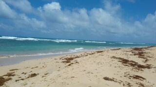 Playa uvero Alto Live Aqua Resort, ab 2.585 € – 14 Tage Playa Uvero Alto / Dominikanische Republik im 5* Live Aqua Resort Punta Cana ( Neueröffnung 2020 ) inkl. All Inclusive, Transfer und Flug