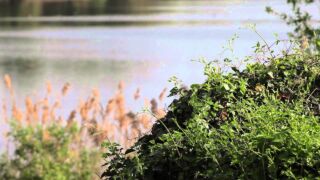 Le Ali del Frassino - The Nature's Way Resort Le Ali Del Frassino The Natures Way Resort, ab 137 € – 2,3 oder 7 Tage Natur- und Wellnessurlaub in Peschiera del Garda / Gardasee im 4* Le Ali Del Frassino The Natures Way Resort