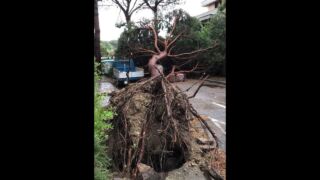 Tempesta a Milano Marittima 10 luglio 2019 Unwetter Adria, Heftige Unwetter wüten entlang der Adriaküste
