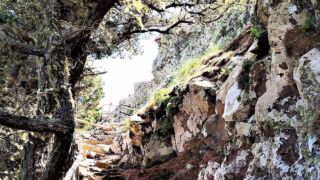 Wander auf La Gomera - Zu den Casas de Cuevas Blancas(2019, 4k) Hotel Jardin Tecina, ab 536 € – 7 Tage Golf- und Erholungsurlaub in Playa de Santiago / Insel La Gomera ins 4* Hotel Jardin Tecina inkl. Frühstück und Flug