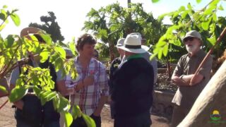 Eco Finca Tecina - Moringa! Hotel Jardin Tecina, ab 536 € – 7 Tage Golf- und Erholungsurlaub in Playa de Santiago / Insel La Gomera ins 4* Hotel Jardin Tecina inkl. Frühstück und Flug