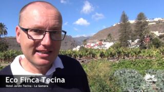 Eco Finca Tecina Hotel Jardin Tecina, ab 536 € – 7 Tage Golf- und Erholungsurlaub in Playa de Santiago / Insel La Gomera ins 4* Hotel Jardin Tecina inkl. Frühstück und Flug