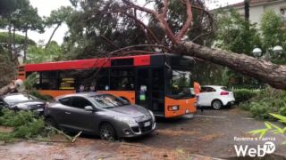 Tromba d'aria: strade bloccate, pini crollati su auto e abitazioni a Milano Marittima Unwetter Adria, Heftige Unwetter wüten entlang der Adriaküste