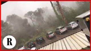 Maltempo a Milano Marittina, strage di pini secolari: "Ragazzi, cadono gli alberi" Unwetter Adria, Heftige Unwetter wüten entlang der Adriaküste