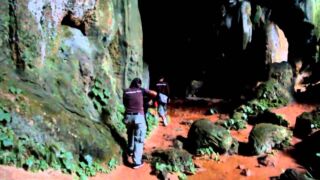 Elephant Hills - Rainforest Camp - Jungle Trekking Elephant Hills Rainforest Camp, ab 487 € – 2 oder 3 Tage im Luxuszeltcamp Thailands inmitten des Regenwaldes ( Choew Larn See ) im 4,5* Elephant Hills Rainforest Camp inkl. Vollpension