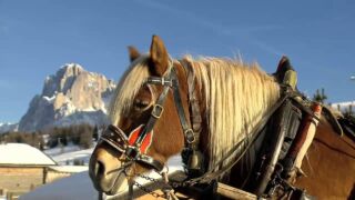 Winter Kastelruth italienisch Hotel Lamm, ab 261 € – 2,3 oder 7 Tage Kastelruth / Südtirol im 4* Hotel Lamm ( Neueröffnung 2018 )