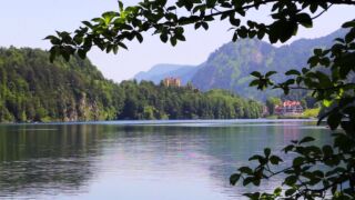 Alpsee Rundweg AMERON Neuschwanstein Alpsee Resort & Spa, ab 182 € – 2,3 oder 7 Tage Schwangau / Deutschland im 4* AMERON Neuschwanstein Alpsee Resort & Spa ( Neueröffnung 2019 ) inkl. Frühstück