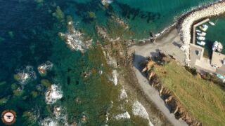 Amazing Cyprus Chrysomare Beach Hotel, ab 608 € – 7 Tage Zypern im 5* Chrysomare Beach Hotel & Resort ( Neueröffnung 2020 ) inkl. Halbpension, Transfer & Flügen