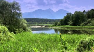 Naturerlebnis Kärnten: Klopeiner See - Südkärnten Ferienwohnungen am Klopeiner See, ab 60 € / Woche – Ferienhäuser & Ferienwohnungen am Klopeiner See in Kärnten online buchen