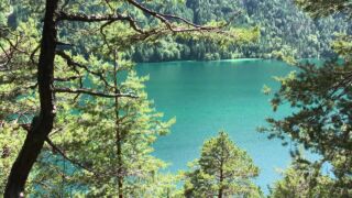 Weissensee - Kärnten/Lake in Carinthia Ferienwohnungen am Weißensee, ab 100 € / Woche – Ferienhäuser & Ferienwohnungen am Weißensee in Kärnten online buchen