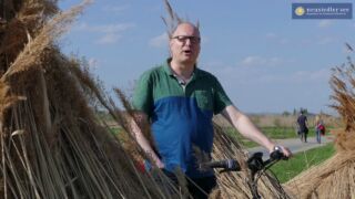 Rund um den Neusiedler See - Neusiedler See Tourismus Webcam Neusiedler See, Panorama Webcam Neusiedler See