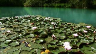 Naturerlebnis Kärnten: Naturpark Weissensee Ferienwohnungen am Weißensee, ab 100 € / Woche – Ferienhäuser & Ferienwohnungen am Weißensee in Kärnten online buchen