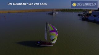 Der Neusiedler See - Neusiedler See Tourismus Webcam Neusiedler See, Panorama Webcam Neusiedler See
