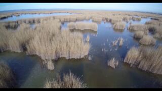 Drohnenflug Nationalpark Neusiedler See Webcam Neusiedler See, Panorama Webcam Neusiedler See