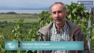 Weinwandern im Pannonischen Herbst - Neusiedler See Tourismus Webcam Neusiedler See, Panorama Webcam Neusiedler See
