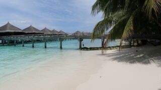 Kuramathi Island - Riffseite Kuramathi Maldives, ab 2015 € – 15 Tage Rasdhoo Atoll / Malediven im 4,5* Kuramathi Maldives inkl. Vollpension, Transfer & Flügen